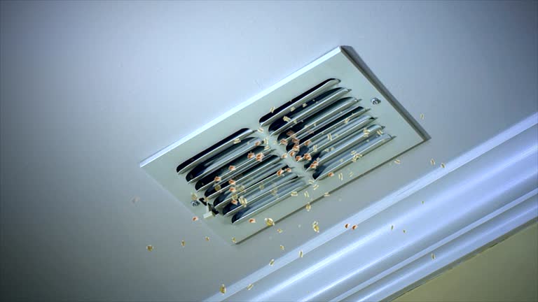 Best Home Air Vent Cleaning  in Westworth Village, TX