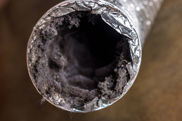 Air Duct Mold Removal in TX