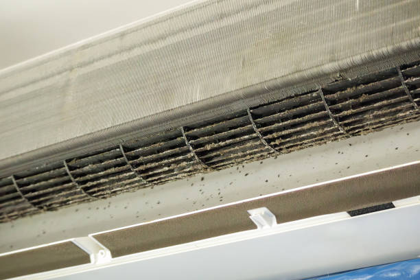 Best Affordable Air Duct Cleaning  in Westworth Village, TX